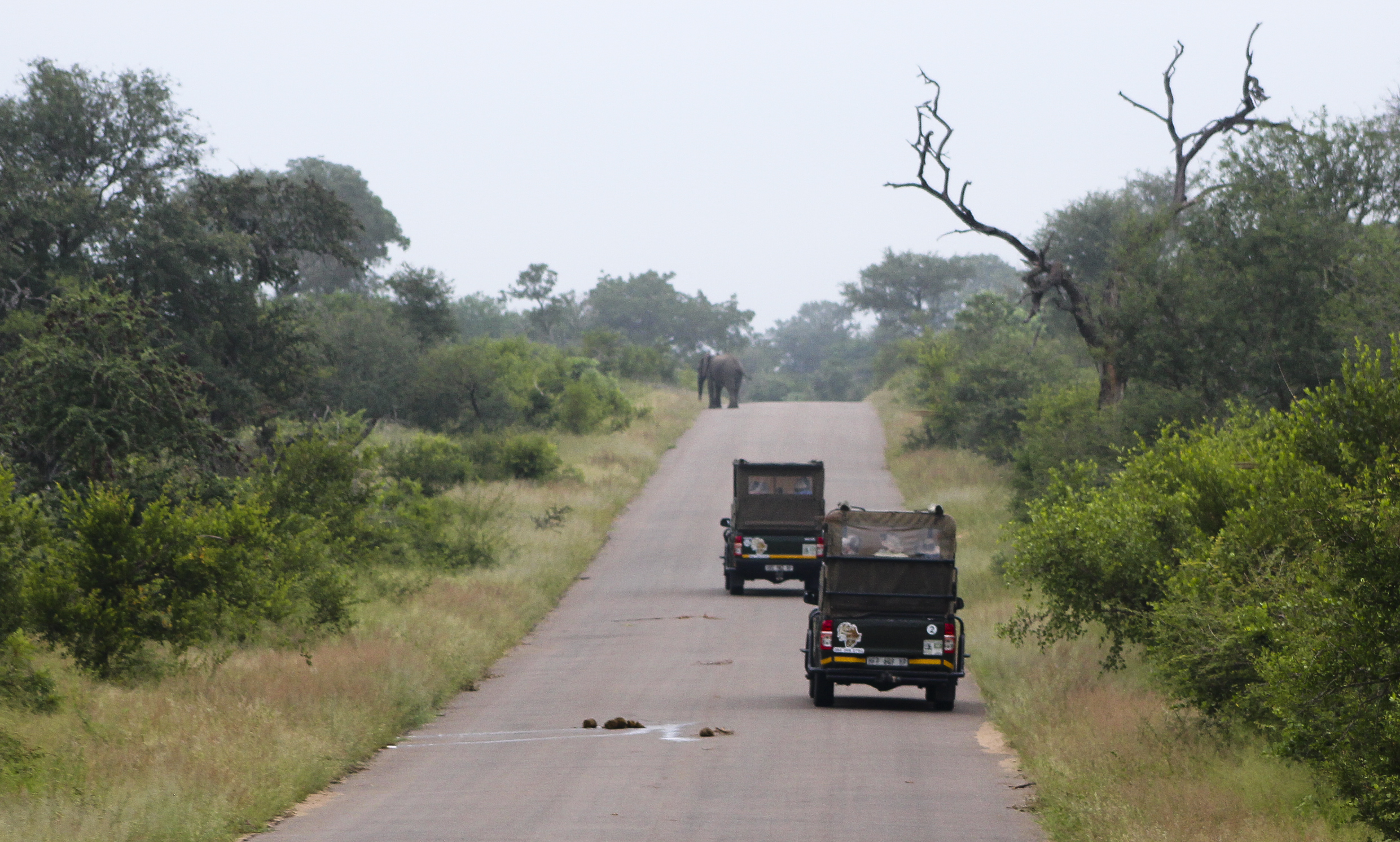 Game Drive