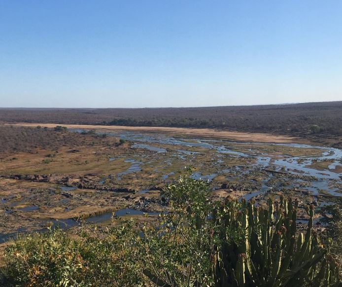 olifants
